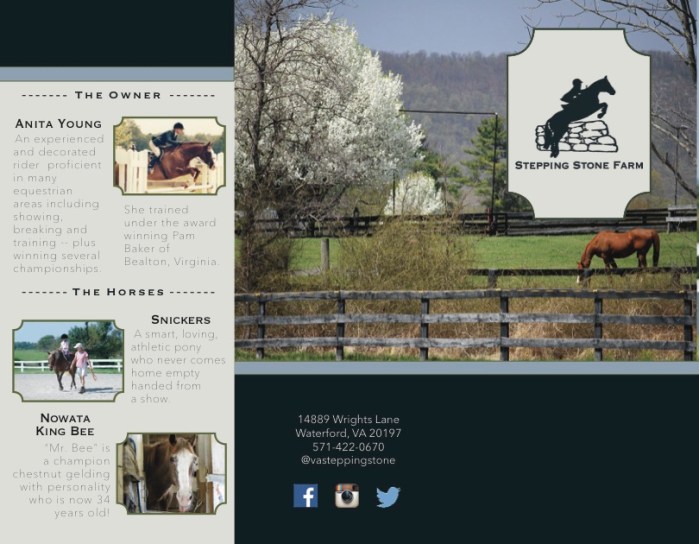 Ferguson_Final Brochure